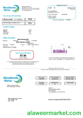 USA Woodlands water business utility bill Word and PDF template